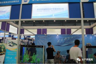 近500家水產產業鏈企業齊聚合肥漁博會，現場亮點紛呈，行業盛事引領產業新方向