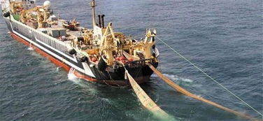 探秘‘海洋巨獸’ 造價(jià)四億的世界最大漁船，萬噸漁獲背后的畜牧漁業(yè)飼料銷售鏈